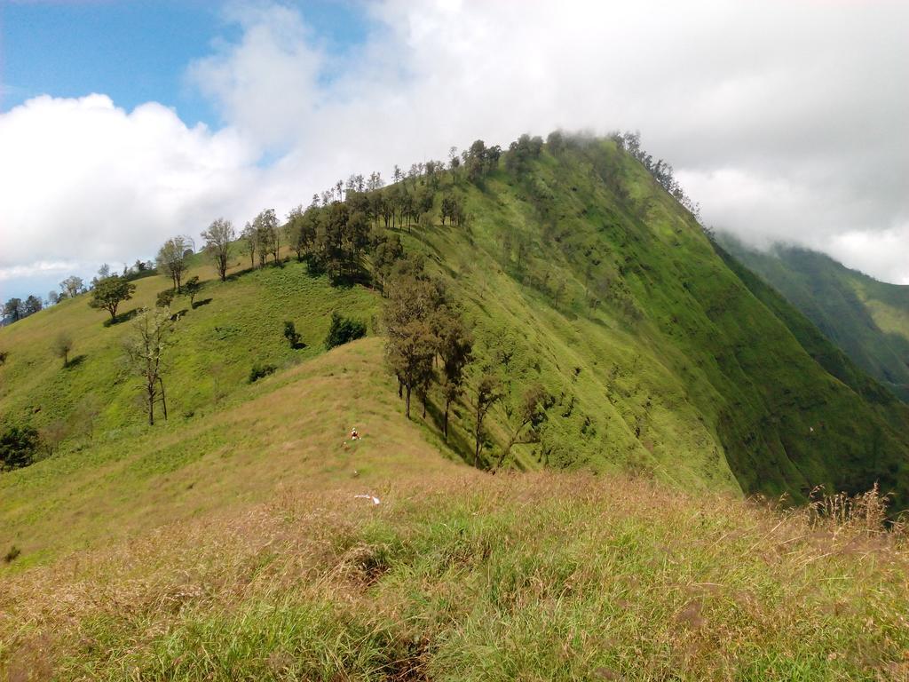 Radiya Guesthouse Sembalunlawang Esterno foto
